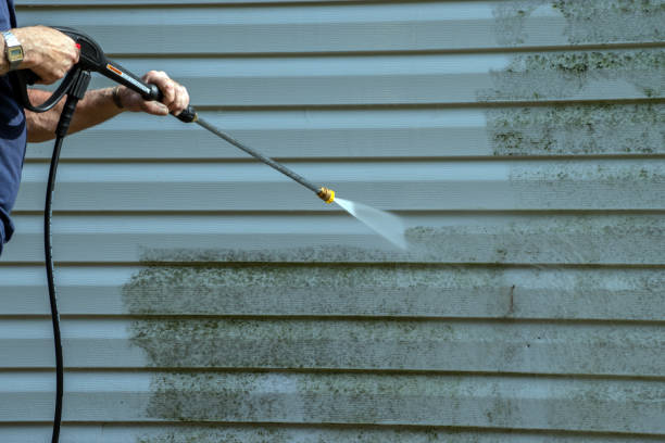 Best House Pressure Washing  in Laporte, CO