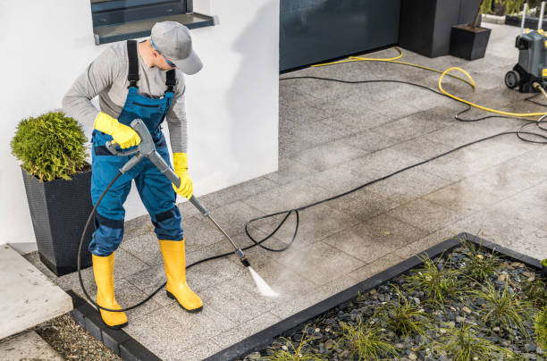 Best Best Pressure Washing Companies  in Laporte, CO