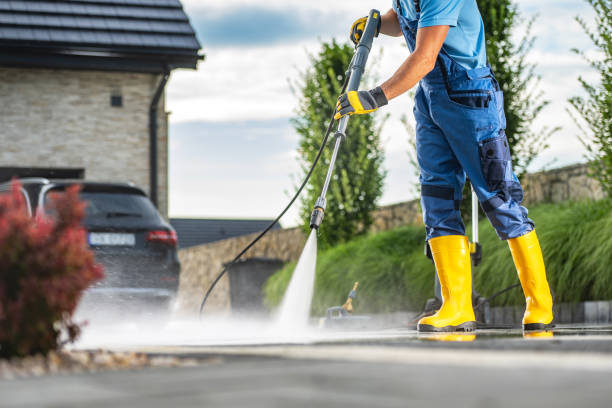 Best Roof Pressure Washing  in Laporte, CO